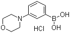 structure of CAS# 863248-20-8, 3-吗啉苯硼酸盐酸盐