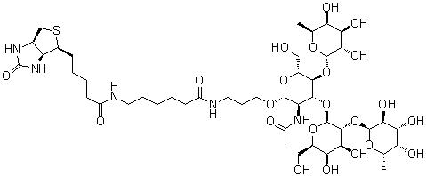 (3aS,4S,6aR)-N-[6-[[3-[[O-6-脱氧-alpha-L-吡喃半乳糖基-(1→2)-O-beta-D-吡喃半乳糖基-(1→3)-O-[6-脱氧-alpha-L-吡喃半乳糖基-(1→4)]-2-(乙酰氨基)-2-脱氧-beta-D-吡喃葡萄糖基]氧基]丙基]氨基]-6-氧代己基]六氢-2-氧代-1H-噻吩并[3,4-d]咪唑-4-戊酰胺分子结构 (CAS 870891-31-9)