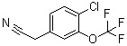 4-氯-3-(三氟甲氧基)苯乙腈分子结构 (CAS 886500-97-6)
