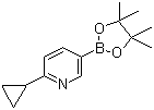 structure of CAS# 893567-09-4, 6-Cyclopropylpyridine-3-boronic acid pinacol ester