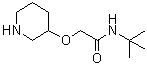 structure of CAS# 902836-73-1, N-叔丁基-2-(3-哌啶基氧基)乙酰胺