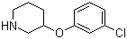 CAS # 902837-32-5, 3-(3-Chlorophenoxy)piperidine