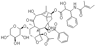 CAS # 90332-64-2, 7-Xylosyl-10-deacetylcephalomannine, 10-Deacetyl-7-xylosyltaxol B, 10-Deacetylcephalomannine 7-xyloside