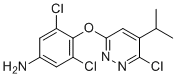 3,5-二氯-4-((6-氯-5-异丙基哒嗪-3-基)氧基)苯胺分子结构 (CAS 920509-27-9)