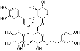 CAS # 94130-58-2, Forsythoside F, Arenarioside