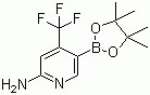 structure of CAS# 944401-57-4, 2-Amino-4-(trifluoromethyl)pyridine-5-boronic acid pinacol ester
