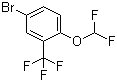 4-溴-1-(二氟甲氧基)-2-(三氟甲基)苯分子结构 (CAS 954236-13-6)