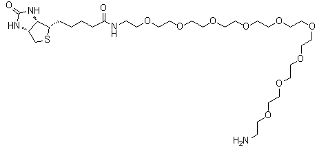 structure of CAS# 960132-48-3, O-(2-氨基乙基)-O'-[2-(生物素基氨基)乙基]八聚乙二醇