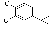 2-Chloro-4-tert-butylphenol molecular structure (CAS 98-28-2)