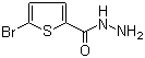 5-溴噻吩-2-甲酰肼分子结构 (CAS 98027-27-1)