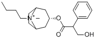 CAS 登录号：99571-66-1, 东莨菪碱丁基溴化物杂质08